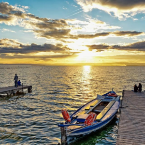 Valencia Private Half Day Bike Tour albufera tour